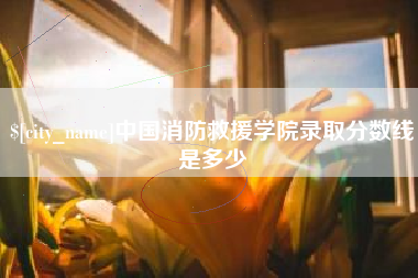 东营中国消防救援学院录取分数线是多少