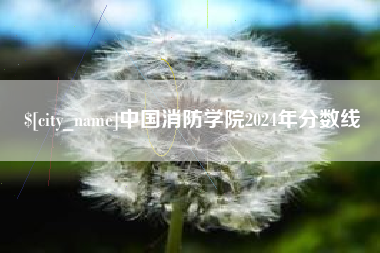 东营中国消防学院2024年分数线