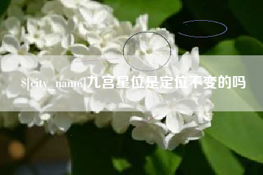 东营九宫星位是定位不变的吗