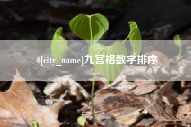 东营九宫格数字排序