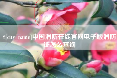 东营中国消防在线官网电子版消防证怎么查询