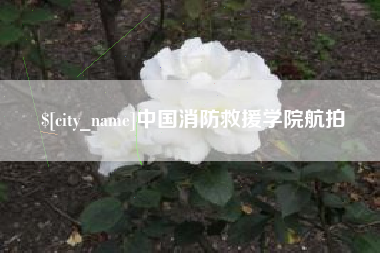 东营中国消防救援学院航拍