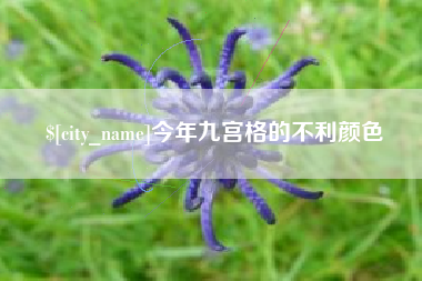 东营今年九宫格的不利颜色