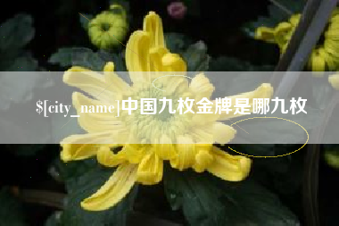 东营中国九枚金牌是哪九枚