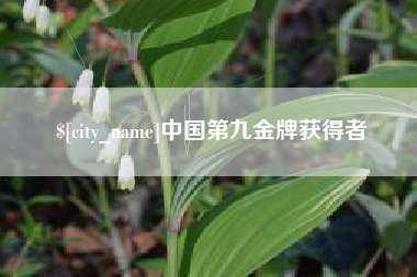 东营中国第九金牌获得者