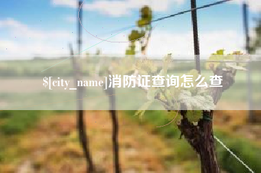 东营消防证查询怎么查