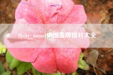 东营中国金牌图片大全