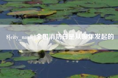 东营全国消防日是从哪年发起的