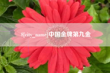 东营中国金牌第九金