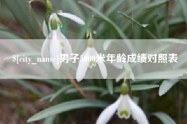 东营男子5000米年龄成绩对照表