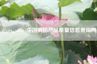 东营中国消防产品质量信息查询网