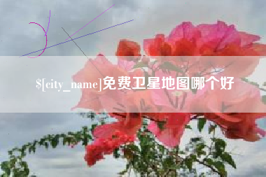 东营免费卫星地图哪个好