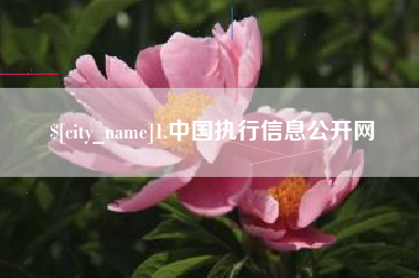 东营1.中国执行信息公开网