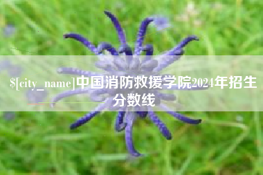 东营中国消防救援学院2024年招生分数线