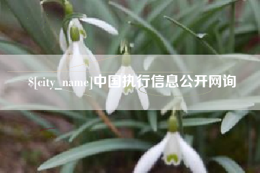 东营中国执行信息公开网询