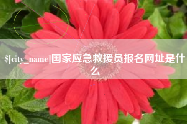 东营国家应急救援员报名网址是什么