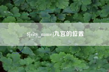 东营九宫的位置