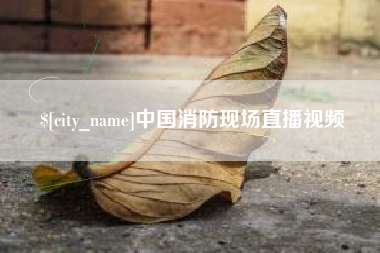 东营中国消防现场直播视频