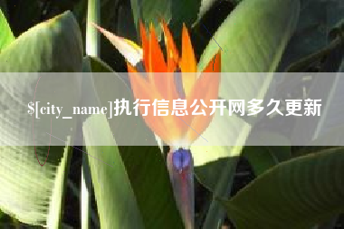 东营执行信息公开网多久更新