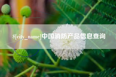 东营中国消防产品信息查询