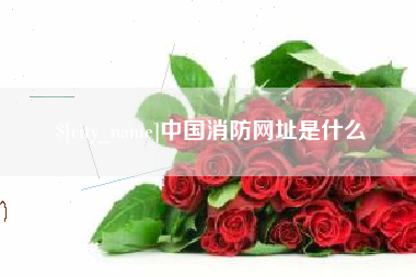 东营中国消防网址是什么