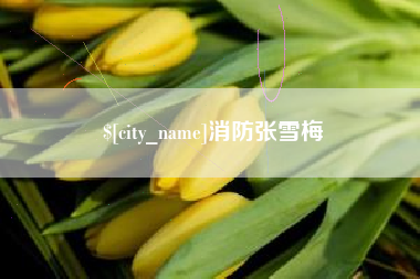 东营消防张雪梅