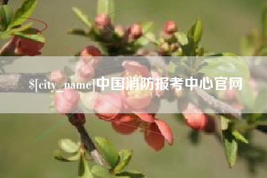 东营中国消防报考中心官网