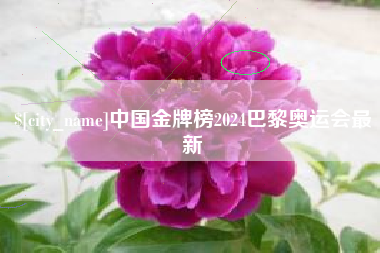 东营中国金牌榜2024巴黎奥运会最新