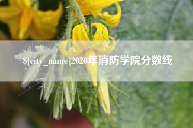 东营2020年消防学院分数线