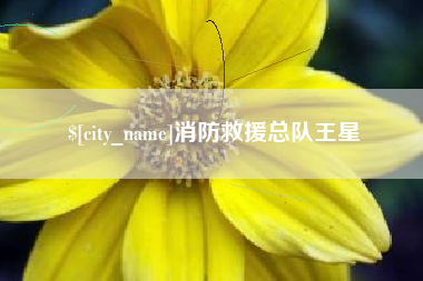 东营消防救援总队王星