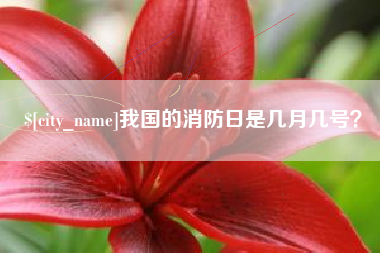 东营我国的消防日是几月几号？
