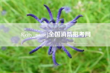 东营全国消防招考网