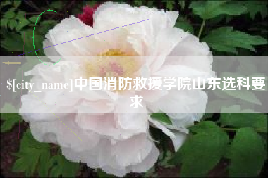 东营中国消防救援学院山东选科要求