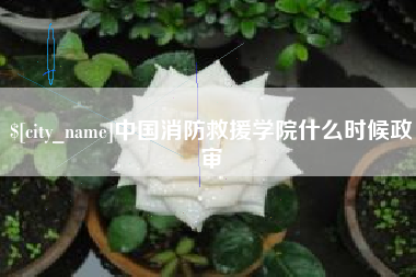 东营中国消防救援学院什么时候政审