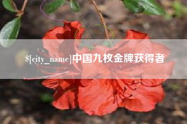 东营中国九枚金牌获得者