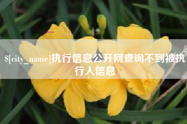 东营执行信息公开网查询不到被执行人信息