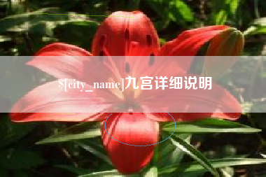 东营九宫详细说明