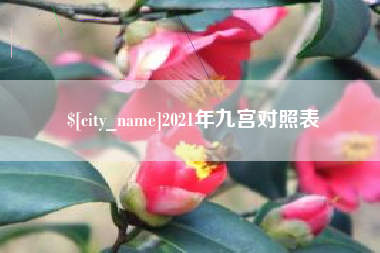 东营2021年九宫对照表