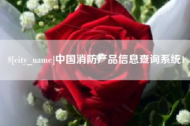 东营中国消防产品信息查询系统1