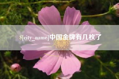 东营中国金牌有几枚了