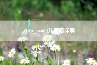 东营九宫格详解