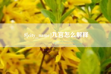 东营九宫怎么解释