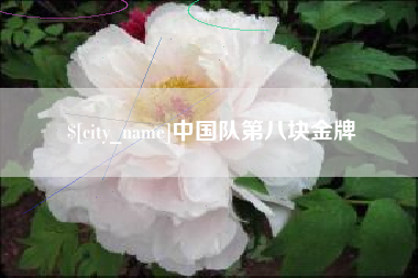 东营中国队第八块金牌
