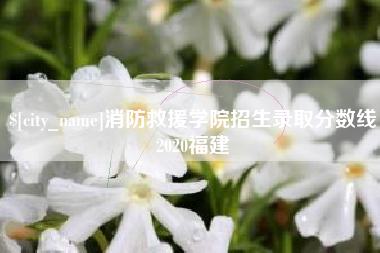 东营消防救援学院招生录取分数线2020福建