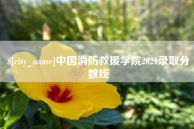 东营中国消防救援学院2021录取分数线