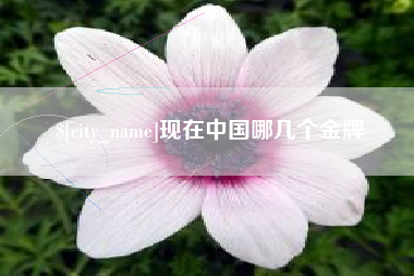 东营现在中国哪几个金牌