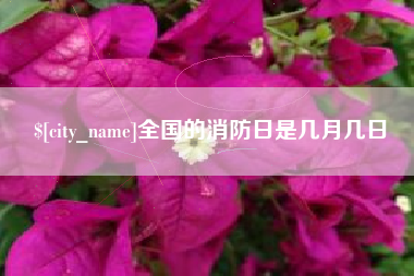 东营全国的消防日是几月几日