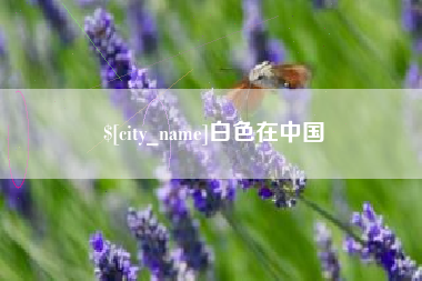 东营白色在中国