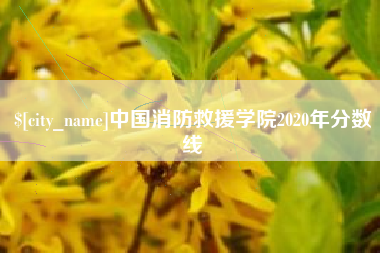 东营中国消防救援学院2020年分数线