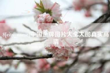 东营中国金牌图片大全大图真实高清